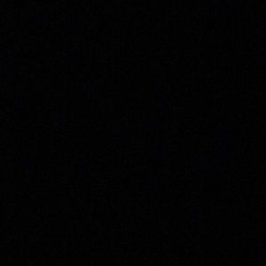 Meet your Posher, Taran